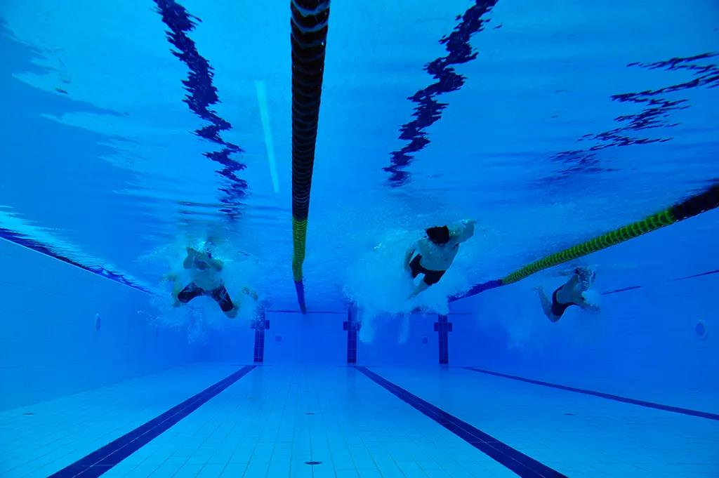 贺31周年|合作共赢新平台,凝心聚力再出发 贺31周年|合作共赢新平台,凝心聚力再出发