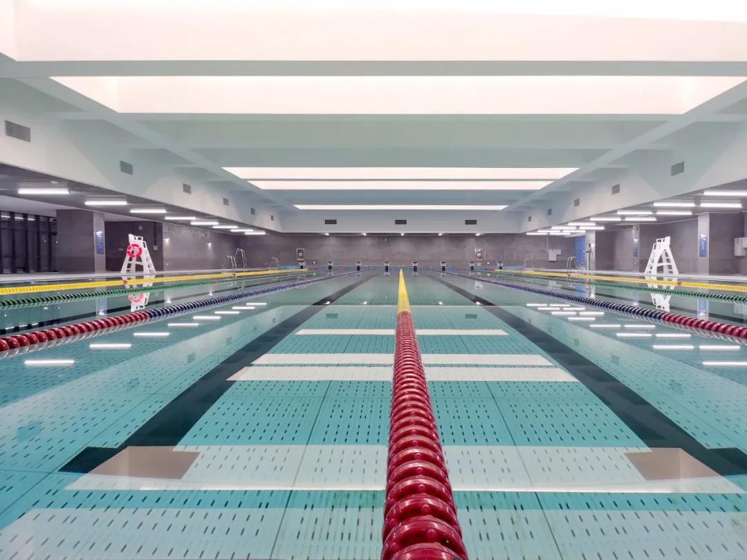 1631781440972812.jpg 1631781440972812.jpg