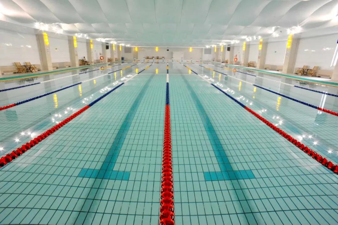 1631781441646287.jpg 1631781441646287.jpg