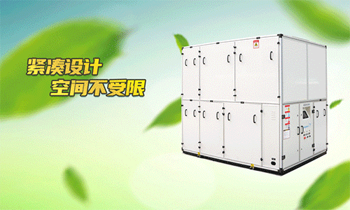 DH系列除湿热泵 DH系列除湿热泵