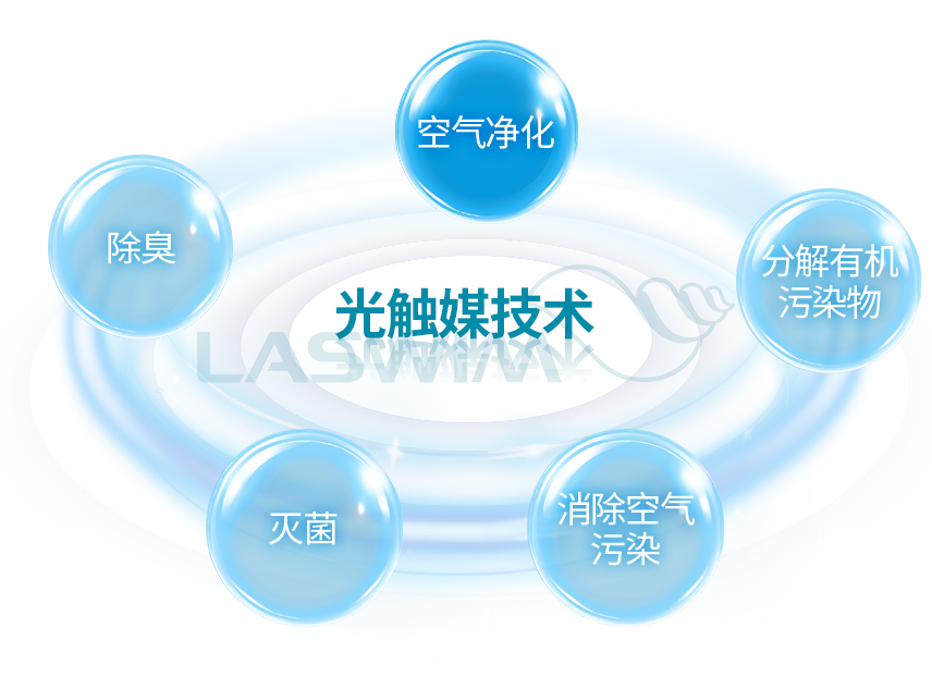 室内游泳池 室内游泳池